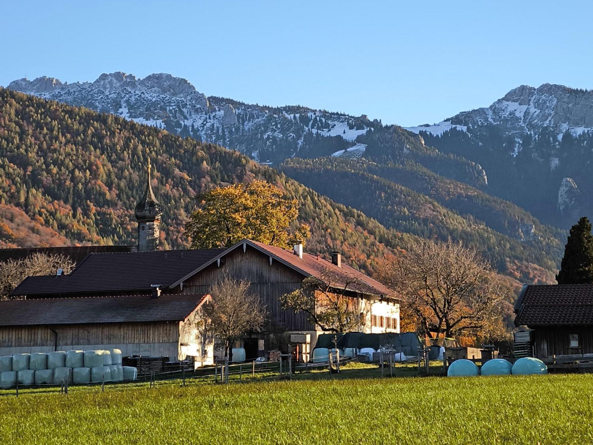 Bauernhof Geigerhof Villa Aschau im Chiemgau Eksteriør billede